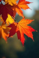 Fototapeta premium Close-up shot of colorful autumn leaves on a branch, illustrating the vibrant, seasonal change , texture, maple