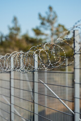 Barbed wire coiled on top of metal security fence.