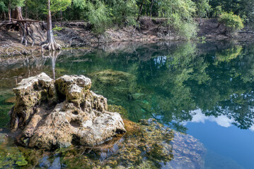 Troy Springs on the Suwannee River, Royal Springs State Park, Florida
