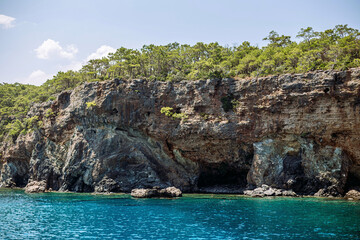 Rocky coastal cliff with sea caves and pine trees above, meeting the deep blue Mediterranean waters...