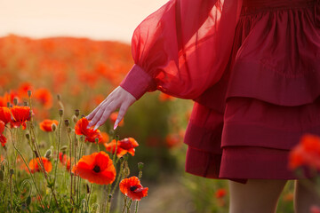 Sexy girl in short red dress posing on poppy field of flowers.