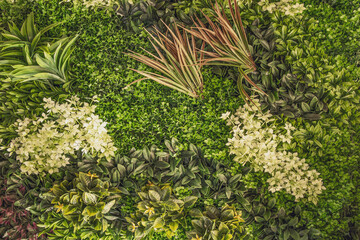 Lush Green Wall with Natural Foliage, Decorative Plants, and Leaf Texture Perfect for Eco Design, Interior Decoration, Urban Landscaping, or Sustainable Nature Concepts