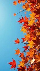 Fototapeta premium Crisp autumn leaves swirling and dancing in a vibrant, gusty wind Golden, red, and brown foliage creates a breathtaking display of nature's artistry against a clear blue sky , fall, air, environment