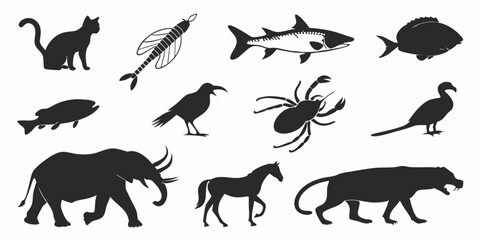 Silhouette of Diverse Animals: An artful collection showcases silhouette forms of a variety of creatures, perfectly illustrating nature's diversity and forms. From a stealthy cat.