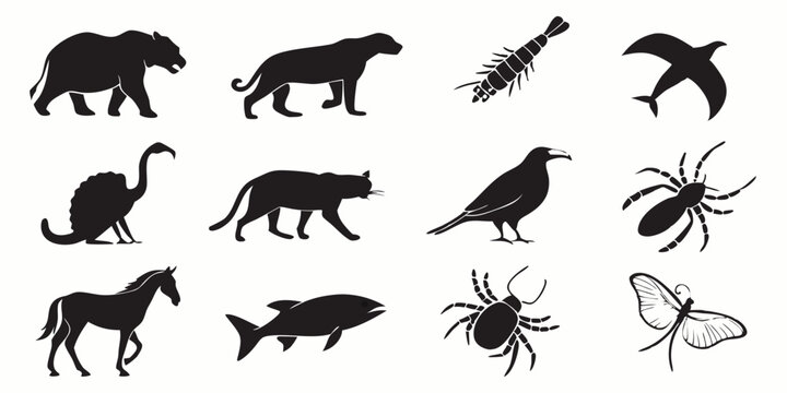 Animal Silhouettes Collection: A diverse set of twelve distinct animal silhouettes, including a bear, panther, shrimp, bird, rhea, cat, crow, spider, horse, fish, beetle, and moth.