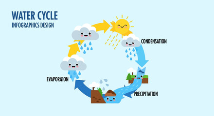 Cute Water Cycle Infographic with Smiling Sun, Clouds, and Raindrops – Educational Vector Diagram for Kids