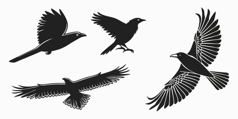 Obraz premium Eagle vector set showing flying bird silhouettes with wings spread in black and white illustration style