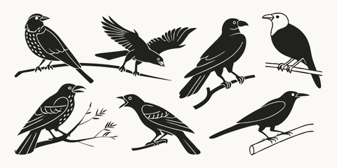 Obraz premium Collection of Bird Silhouettes: A set of meticulously crafted silhouettes showcasing various bird species perched on branches, capturing their unique postures and forms.