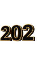 3D Illustration of Golden and Black Number 202 on Transparent Background