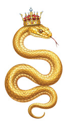 Fototapeta premium Illustration of Golden Snake with Jeweled Crown on Transparent Background