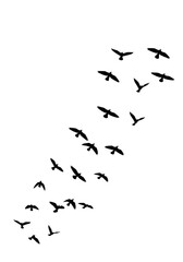 Fototapeta premium Abstract Illustration with Colorful Small Shapes on Black Background