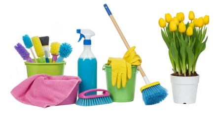 Domestic Cleaning Supplies with Yellow Tulips and Transparent Background
