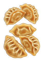 Illustration of Golden Fried Japanese Gyoza Dumplings Delicious Meal
