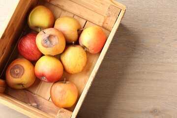 Damaged and rotten apples in wooden crate on table, top view. Space for text