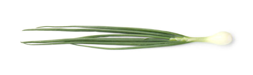 Fresh ripe green onion isolated on white, top view