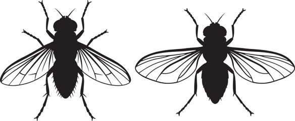 Fly insect silhouette small bug vector illustration