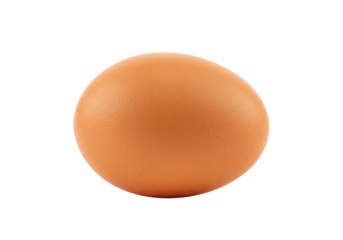 Isolated Transparent Background of a Brown Chicken Egg Studio Shot
