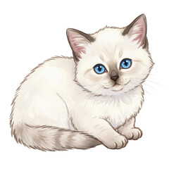 Fototapeta premium Illustration Of Cute Siamese Kitten With Blue Eyes On Transparent Background