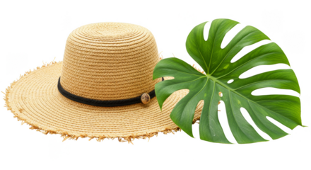 Isolated Straw Hat and Tropical Monstera Leaf Fashionable Accessory