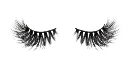 Isolated False Eyelashes with Transparent Background for Cosmetic Use