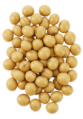 Isolated Pile Of Soybean Beans On Transparent Background Food Concept