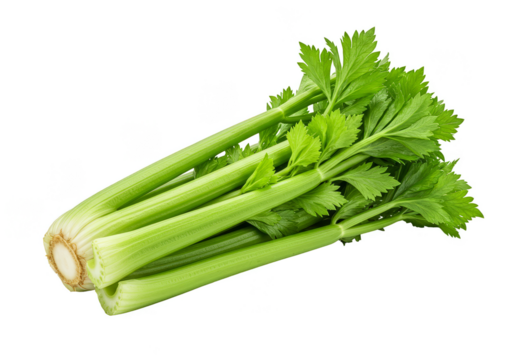 Isolated Green Celery Stalks Group in Transparent Background PNG Image