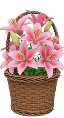 Obraz premium Illustration Pink Lily Bouquet in Wicker Basket with Transparent Background
