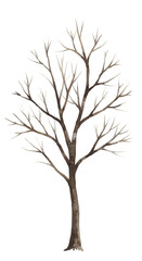 Fototapeta premium Winter Tree Snow Bare Branches Isolated Transparent Background Illustration