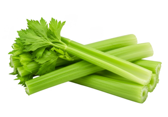 Isolated Background of Fresh Green Celery Sticks Vegetable Nutrition Food