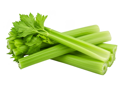 Isolated Background of Fresh Green Celery Sticks Vegetable Nutrition Food