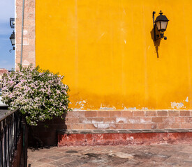 Un rincón colonial especial. Muro frontal amarillo antiguo. Mexicano, romántico y tradicional.  Escenario exterior de día con flores y farol.