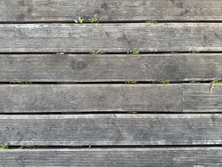 Top view of aged grooved wooden floorboards with visible grain and screws. Natural wood texture for background or design use.
