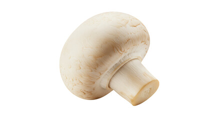 Isolated Mushroom Agaricus Campestris Food Ingredient On Transparent Background