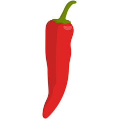 Spicy Chili Peppers. Vector Illustration of red hot chili peppers.

