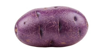 Isolated Transparent Purple Potato Rich Texture Vegetable Food