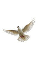 Fototapeta premium Isolated White Dove Flying with Open Wings on Transparent Background