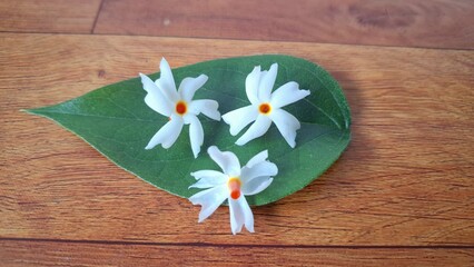 Parijat flowers or often called Harsingar, Night flowering jasmine (Nyctanthes arbor-tristis) above parijat leaf isolated on white background