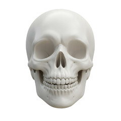 Obraz premium Realistic Skull Anatomy of Human Bones Skeleton Head on Transparent