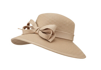 Woven Straw Hat Beige Ribbon Detail Fashion Accessory Transparent