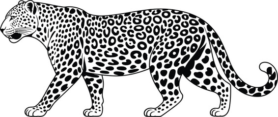 A black and white illustration of a leopard walking with spots on a white background drawing style
