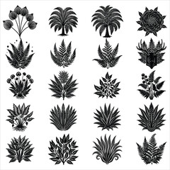 Fern Leaves 