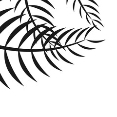 Silhouette Palm Corner