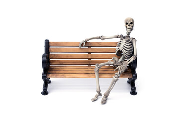 Human Skeleton ghost sits on old wooden bench isolated on white background.