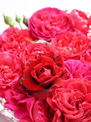 Red roses on water in glass bowl.