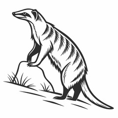 Majestic meerkat standing on rock black and white illustration