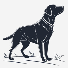 Majestic black labrador retriever dog silhouette standing in grass