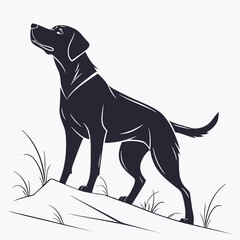Majestic labrador retriever silhouette on hilltop