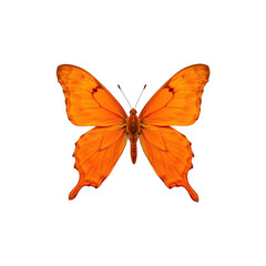 A vibrant orange butterfly with delicate wings and clear outlines, elegantly displayed against a transparent background..