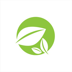 green leaves with three leaflets on a round background