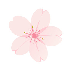 "Ultimate SVG Vector Design Bundle &ndash; Abstract, Geometric, Botanical, Mandala, Minimal, Vintage & Modern Elements for Cricut, Laser Cutting, Sublimation, and DIY Crafts"